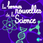 Et si cet été on observait les étoiles pour ralentir ?