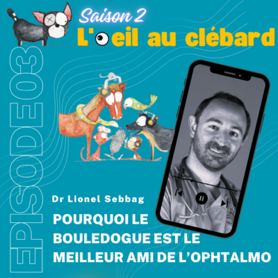 Pourquoi le bouledogue est le meilleur ami de l’ophtalmo ?