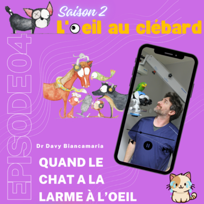 Quand votre chat à la larme à l’oeil