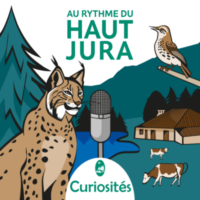 Le Grand Tétras, un drôle d’oiseau