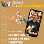 Les serpents aussi ont des lunettes