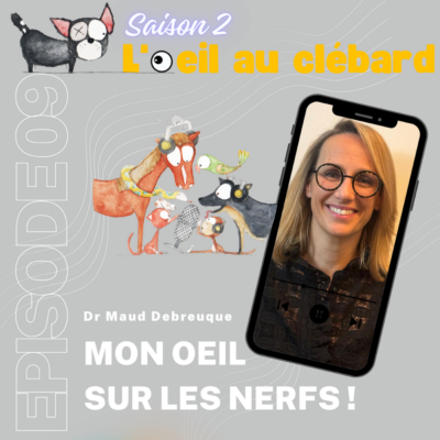 Mon oeil sur les nerfs