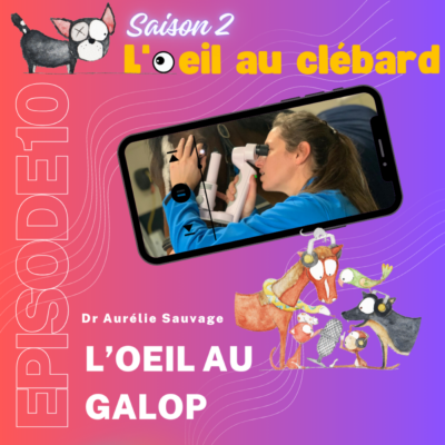 L’oeil au galop
