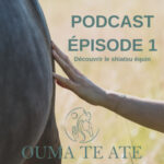 Episode 1 – Qu&rsquo;est ce que le shiatsu equin ?