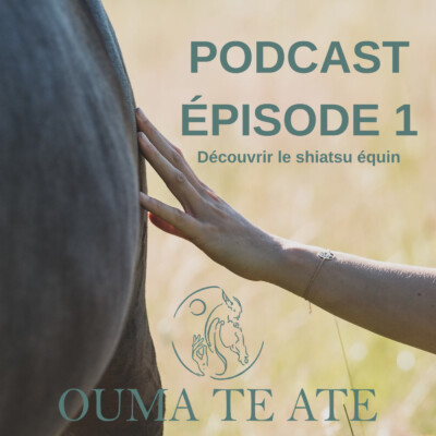 Episode 1 – Qu’est ce que le shiatsu equin ?
