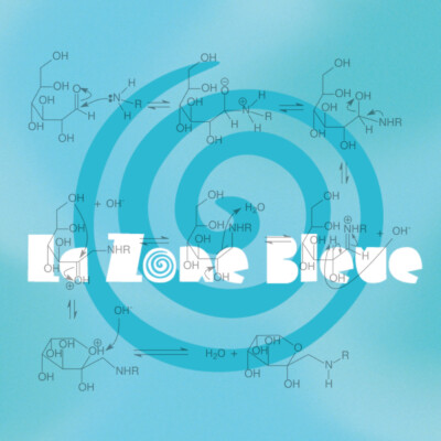 La Zone Bleue #20 : La Réaction de Maillard