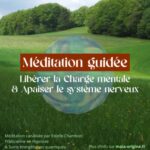 Méditation – Libérer stress et charge mentale – Relaxation profonde – Calmer le système nerveux