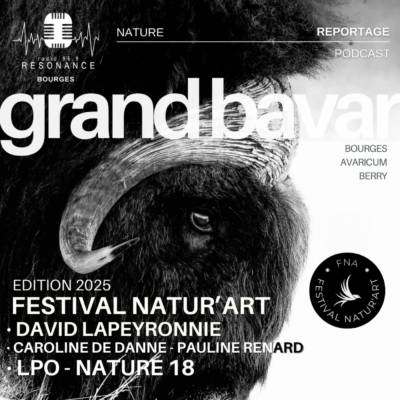 REPORTAGE → FESTIVAL NATUR’ART 2025