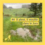 #4 Il pleut, il mouille dans le Jura