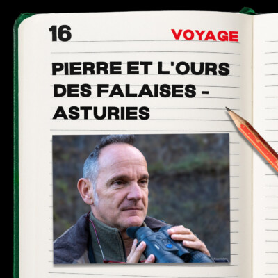 #16. Pierre et l’Ours des falaises