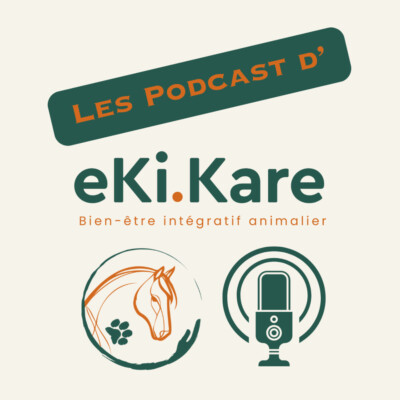 Les 5 éléments en MTC