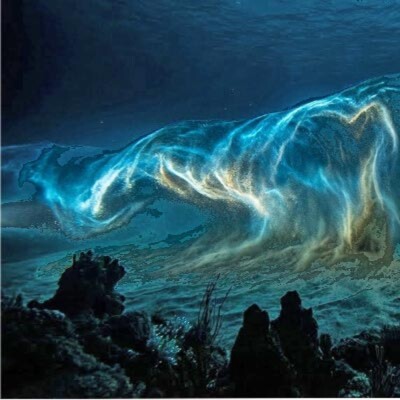 Ep. 19 : La vague de fond