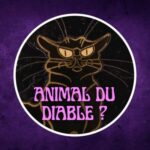Pourquoi le chat noir porte-t-il malheur ? 🐈‍⬛