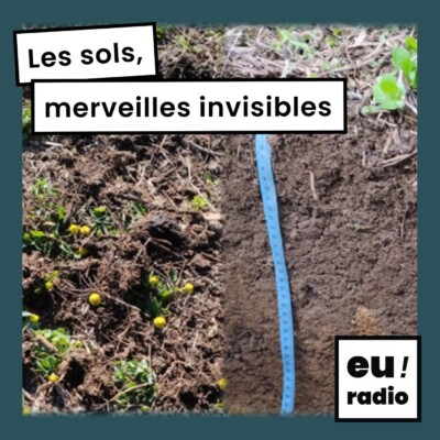 Podcast Cover