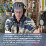 Fréquence Mycélium. Le monde insoupçonné de la fabrique de champignon