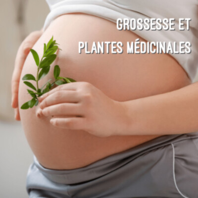 grossesse et plantes médicinales-podcast