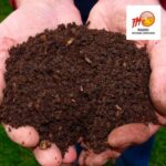 Le compost, ça sent mauvais et ça attire les rats ?!