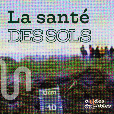 7/8 Zéro artificialisation nette : le plan « Pleine terre » de Nantes Métropole – La santé des sols