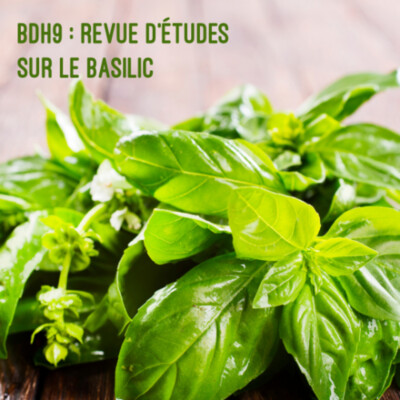 BDH9 :  Revue d’études sur le basilic
