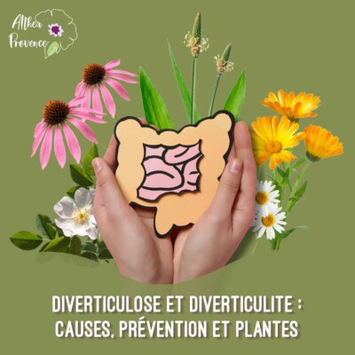 Diverticulose et diverticulite – causes, prévention et plantes