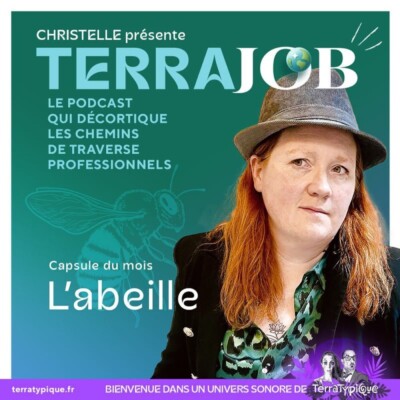 Capsule du mois : L’Abeille