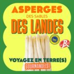 Episode 13: l&rsquo;asperge des Landes IGP Label rouge