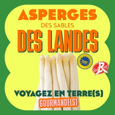 Episode 13: l’asperge des Landes IGP Label rouge