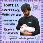 #43 Toute la souffrance dans un œuf – Keyvan Mostafavi (1/2)