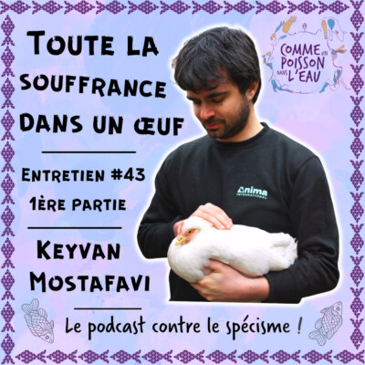 #43 Toute la souffrance dans un œuf – Keyvan Mostafavi (1/2)