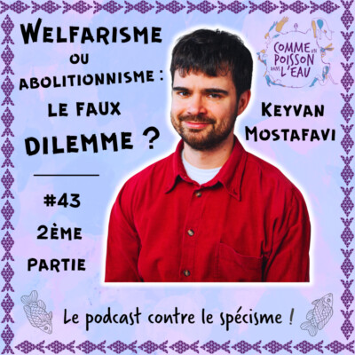 #43 Welfarisme ou abolitionnisme : le faux dilemme ? – Keyvan Mostafavi (2/2)