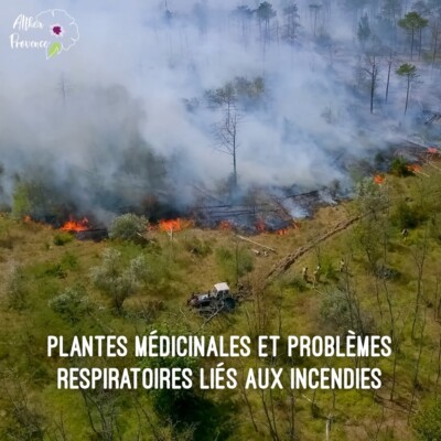 Plantes et problèmes respiratoires liés aux incendies