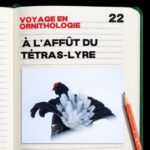 #22. Le voyage en ornithologie – épisode 1 à l&rsquo;affût du Tétras-Lyre.