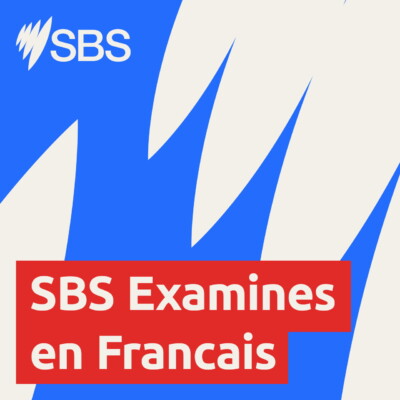 Domestic Violence: Survive, Thrive & Teach – SBS Examines : Violence conjugale : survivre, s’épanouir et transmettre son expérience