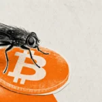 Il donne 100 dollars à une mouche pour trader Bitcoin : suivez l&rsquo;expérience en direct
