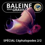 Les Céphalopodes 2/2 : Poulpes, Calmars, Seiches et même… Vampire ! (Marjorie Roscian)