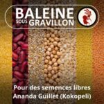 Qu&rsquo;est devenu l&rsquo;agriculture ? (Ananda Guillet, Kokopelli)